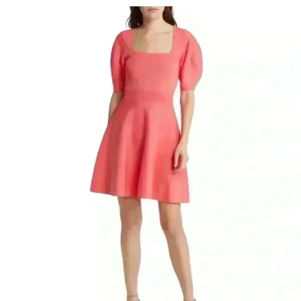 NWT Ted Baker puffy sleeve dress size 2